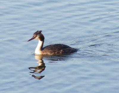 Прикрепленное изображение: 003.jpg